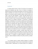 La empresa pública.