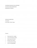 El siguiente consiste en un proyecto de exportación por parte de la empresa “Rice Garden S.A.” desde Norte de Santander departamento colombiano, hacia la capital trinitense Puerto España.