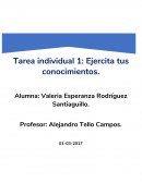 Tarea individual 1: Ejercita tus conocimientos.