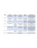 La virtud moral de un individuo debe ser realizada bajo la dirección del Edo.