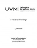 Procesos psicológicos básicos