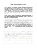 ¿Por que Coca Cola genera valor al cliente?