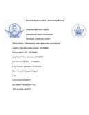 Marco teórico – Hormonas y cambios sexuales que producen