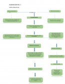 ASIGNACION MAPA CONCEPTUAL
