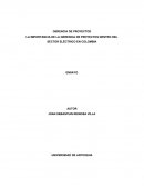 LA IMPORTANCIA DE LA GERENCIA DE PROYECTOS DENTRO DEL SECTOR ELECTRICO EN COLOMBIA