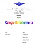 La Federación de Colegio de Enfermeras y Enfermeros de Venezuela para el año 2002 será el centro de excelencia en al enfermería para fortalecer la capacidad y potencialidad de los recursos humanos y apoyo al desarrollo sostenible