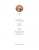 Maquinas Eléctricas Brazo Robótico