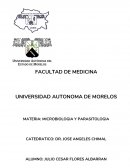 Critica a "Hasta el Ultimo Hombre".