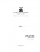 Es la entrada al trabajo a presentar, la cual debe tener un basamento teórico que nos lleve a vislumbrar los objetivos de la investigación.