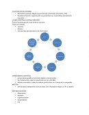 Hemisferio Derecho: regula la parte izquierda (Ciencias, matemáticas, pensamiento concreto).