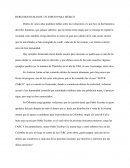 DERECHOS HUMANOS: UN ESPEJO PARA MÉXICO.