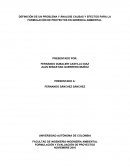 DEFINICIÓN DE UN PROBLEMA Y ÁNALISIS CAUSAS Y EFECTOS PARA LA FORMULACIÓN DE PROYECTOS EN GERENCIA AMBIENTAL