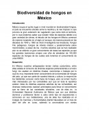 Biodiversidad de hongos en mexico.