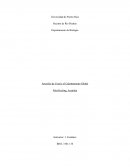 Graficas en diferentes años con respecto al cambio en temperatura en arrecifes de coral