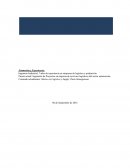 Puesto actual: Ingeniería de Proyectos en empresa de servicios logísticos del sector automoción..