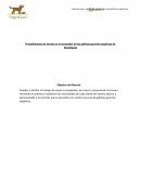 Procedimiento de Ventas en el mostrador de las galletas gourmet orgánicas de Organiguau
