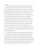 Gestion en la Empresa Hospitalaria Ensayo