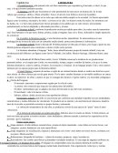 Pseudoliteratura. Literatura