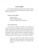 Politica Cambiaria. objetivos de la politica cambiaria