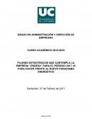 PILARES ESTRATÉGICOS QUE CONTEMPLA LA EMPRESA “ENDESA” PARA EL PERIODO 2017-19 PARA HACER FRENTE AL NUEVO PARADIGMA ENERGÉTICO....