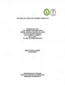 Uso real del suelo en Colombia censo 2014