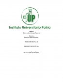 CASOS ¿cuáles son las necesidades de información del sector de la comida rápida?