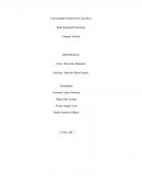 Las personas. Investigar acerca de la cognición y motivación humana