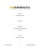 Teorías del Aprendizaje El Embarazo