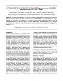 Cultivo de tejidos vegetales por callogenesis