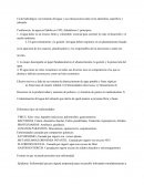 Teoría Abastecimiento de Agua