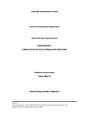 CASO2 EXTENSO – CORRECCION DE PUESTO DE TRABAJO INSATISFACTORIO