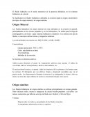 El fluido hidráulico es el medio transmisor de la potencia hidráulica en los sistemas hidráulicos de a bordo