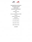 Guía de encuestas básicas de PYMES