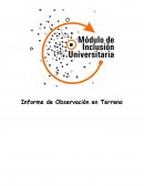 Informe de Observación en Terreno
