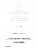 Informe economia solidaria RESULTADOS DEL PLAN DE ACCIÓN A REALIZAR