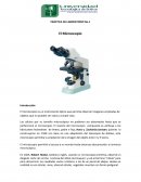 PRÁCTICA DE LABORATORIO No.1 El Microscopio