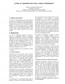 ¿Cómo se reproducen los virus y cómo se diseminan?