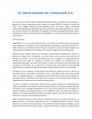 EL GRAN DILEMA DE CAMALEON S.A.