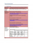 Guía de observación:¿Cuál es el impacto social y económico que ocasionan, las personas que arriesgan su vida colándose en el medio de transporte sin realizar el pago correspondiente por el servicio de utilización del mismo?