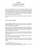 EL ABORTO “UNA PERSPECTIVA GENERAL”