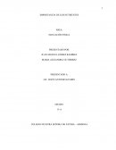 IMPORTANCIA DE LOS NUTRIENTES