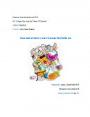 LAS MEZCLAS Y SUS CARACTERISTICAS