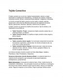 Cuestionario Microanatomia Tejido Conectivo