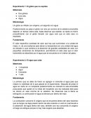 Experimento 1: El globo que no explota