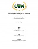 Fijacion de precios Básicamente los precios mínimos y máximos lo fijan; los Costos de producción, y el mercado y la demanda, relativamente.