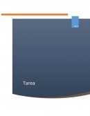 Como primer paso utilice el programa de Microsoft de su preferencia.