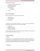 Generación y mantenimiento de relación.