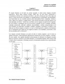 Capítulo 5 Anatomía sexual básica