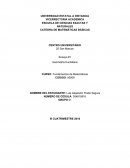 Ensayo #1 Geometría Euclidiana