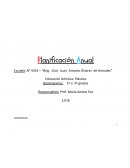 PROYECTO ANUAL PLÁSTICA 2016